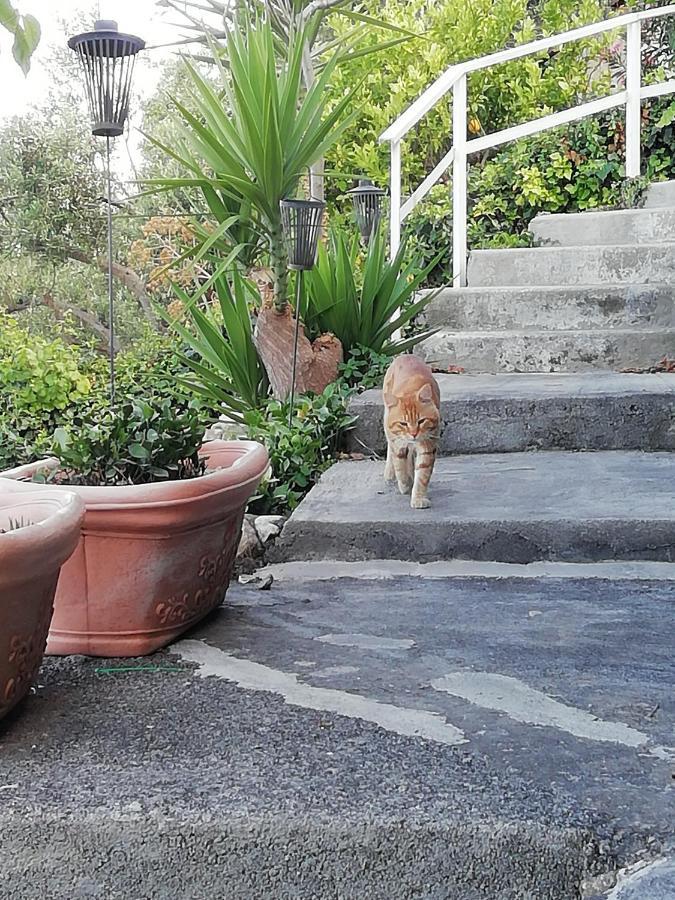 U Castiddanu Breathtaking View Apartamento Taormina Exterior foto