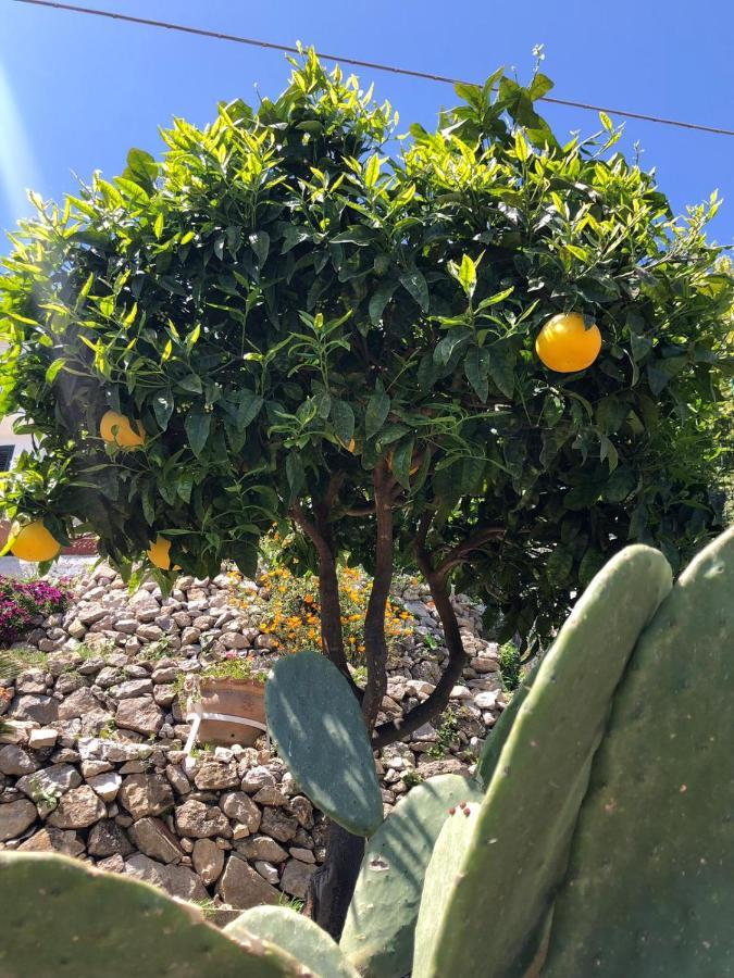 U Castiddanu Breathtaking View Apartamento Taormina Exterior foto